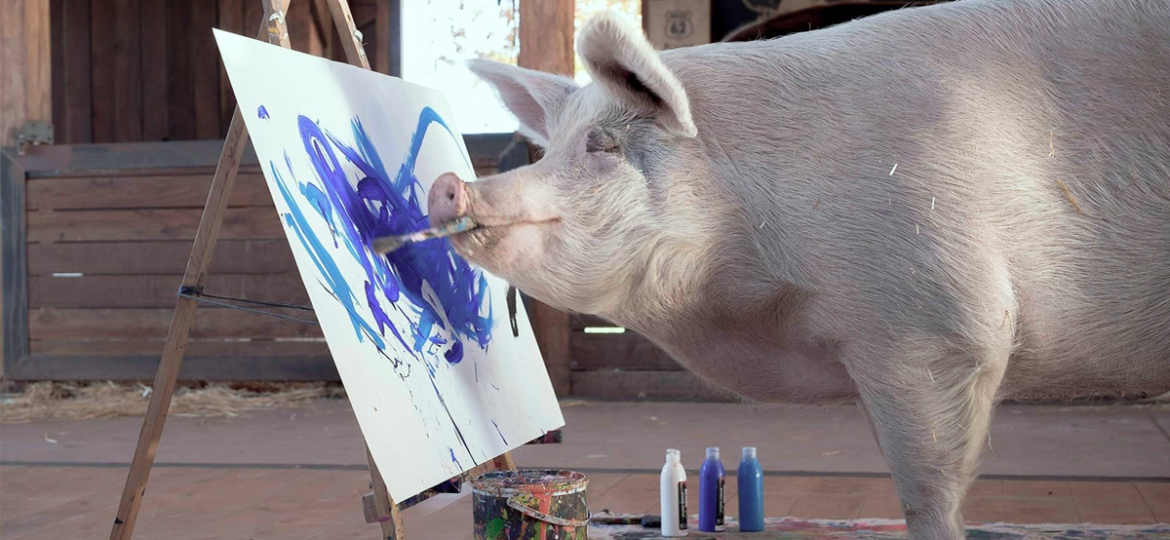 pig_FB